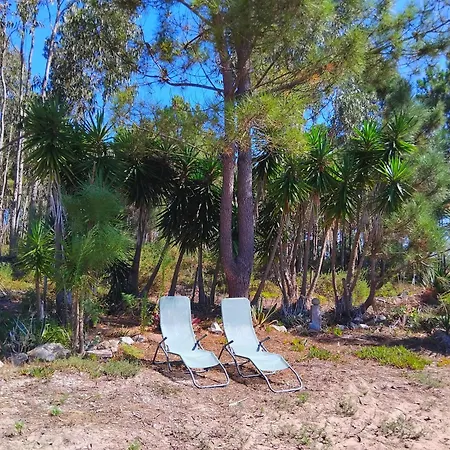 Sea Breeze Holiday home Salir de Porto